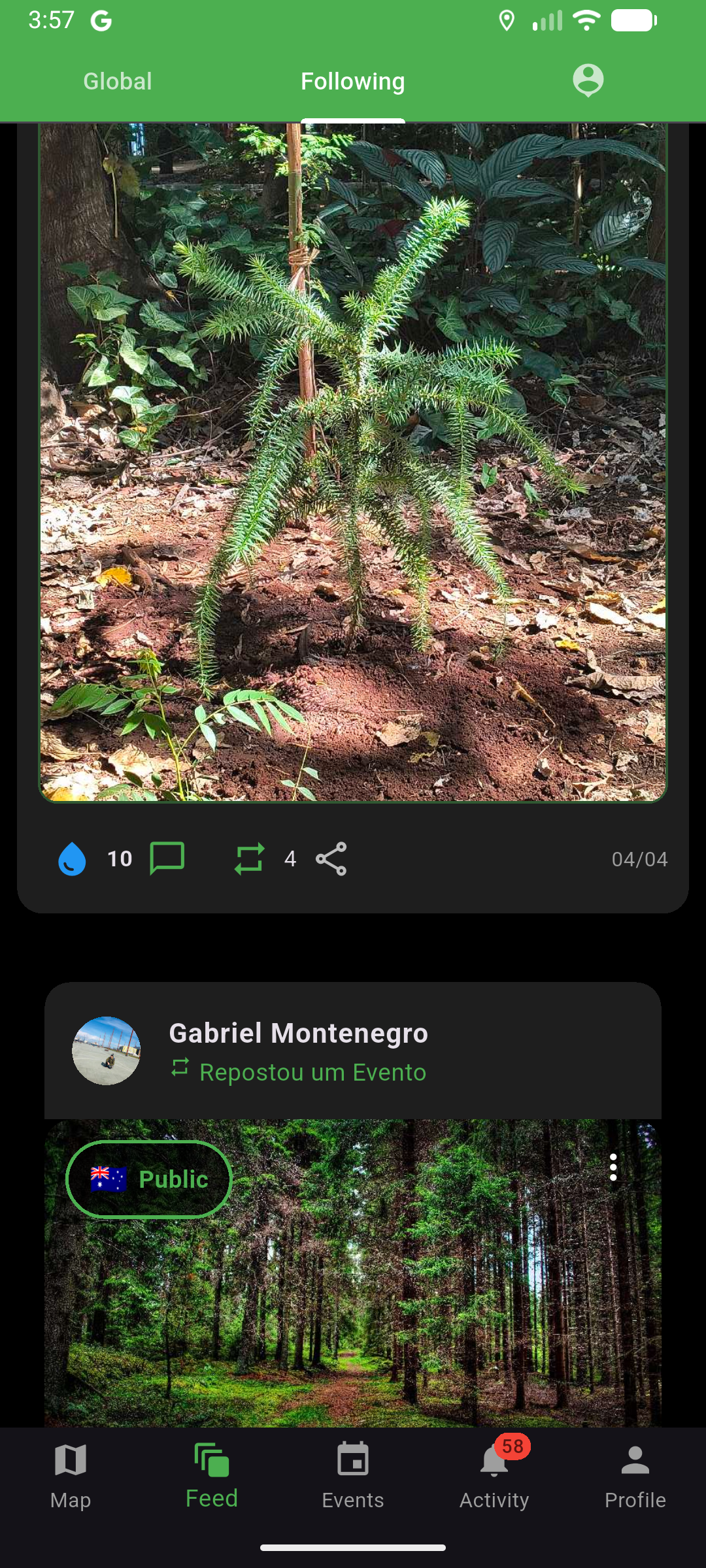 Feed social do Plant-a-Tree